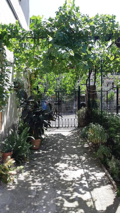 Casa Sofia - Appartamento Con Parcheggio Riservato Терни Екстериор снимка